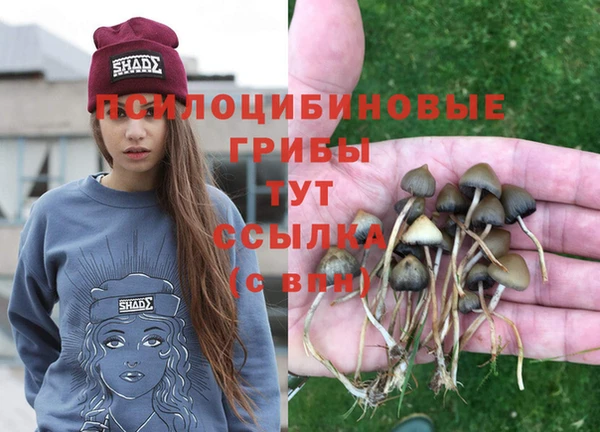 молекула духа Нязепетровск