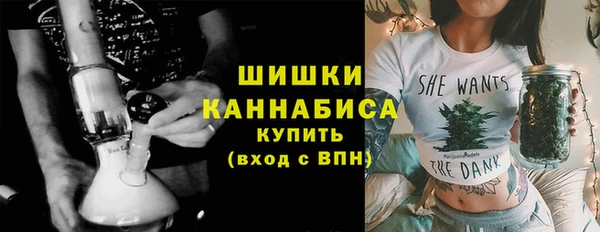 молекула духа Нязепетровск