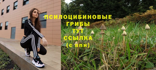 дживик Нягань