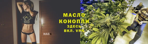 молекула духа Нязепетровск