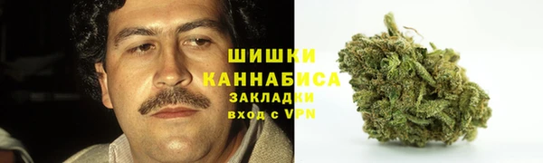 молекула духа Нязепетровск