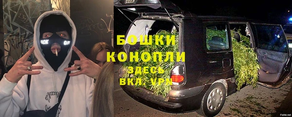 молекула духа Нязепетровск