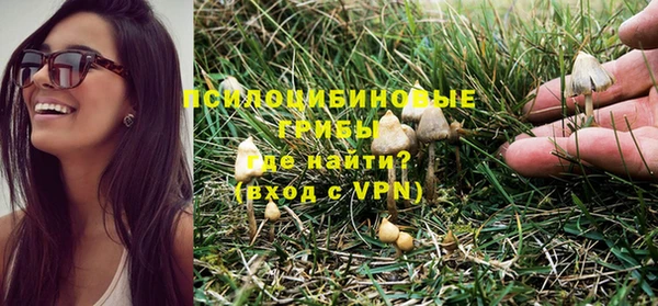 дживик Нягань