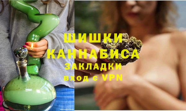 дживик Нягань