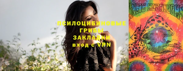 прущий лед Няндома