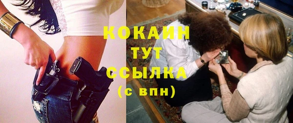 дживик Нягань